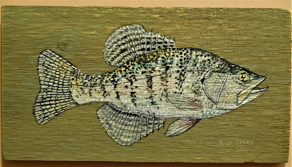 570x326 White Crappie On A Cedar Plank Original Art Fish On Wood - Crappie Painting
