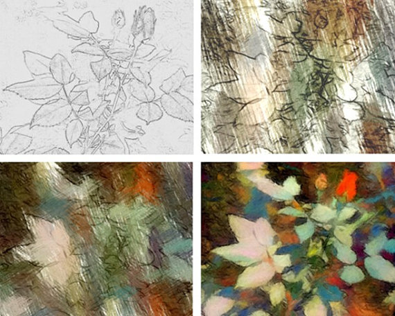 570x456 Garden Rose Artists' Sketches - Create Your Own Painting