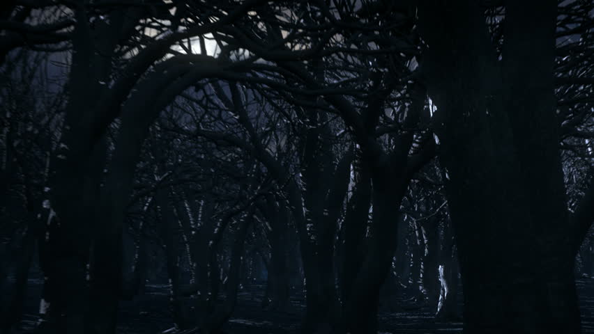 852x480 Dark Forest Free Video Clips - Creepy Forest Painting