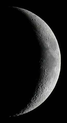 256x469 Loss Night Citizen Science Project Representations - Crescent Moon Painting