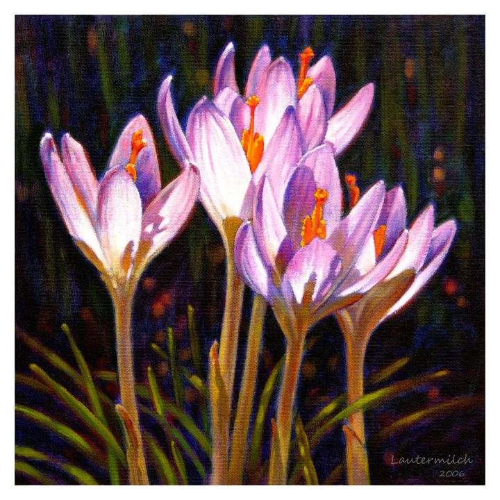 720x720 Crocus In Winter Sunlight - Crocus Painting