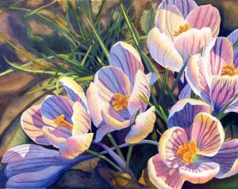 340x270 Crocus Painting Etsy - Crocus Painting