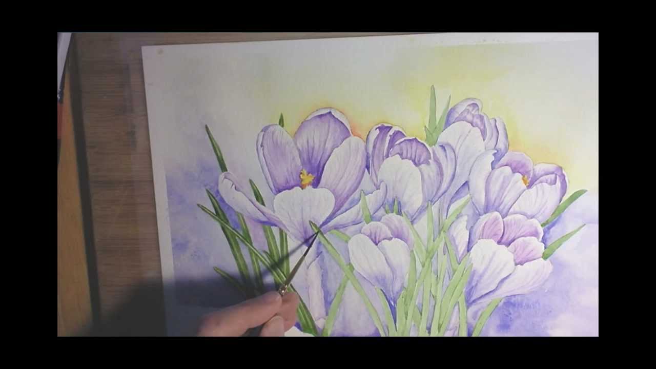 1280x720 Crocuses In Watercolor - Crocus Painting