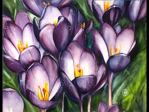 480x360 Watercolor Crocus Flowers Painting Demonstration - Crocus Painting