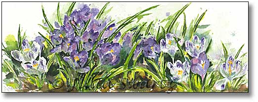522x207 Watercolor Painting Of Crocus Flowers - Crocus Painting