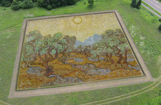 640x419 Holy Crop! A Van Gogh Painting Recreated In A Field - Crop In Painting