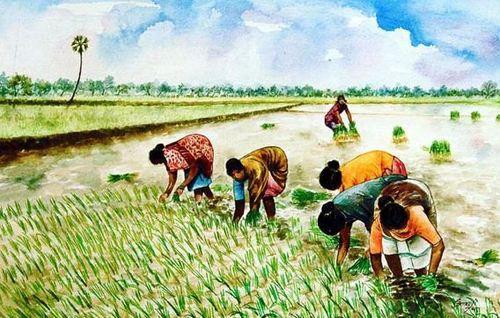 500x318 Painting Portfolio - Crop In Painting