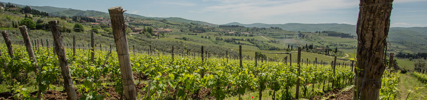 1360x319 Gordon Harrison Canadian Landscape Gallery Art Retreat And Bampb - Crop In Painting