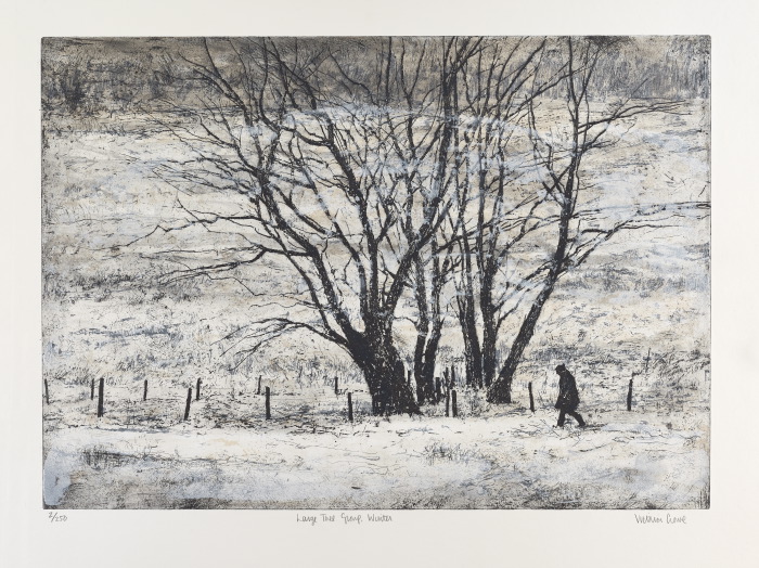 700x524 Victoria Crowe - Crowe Painting