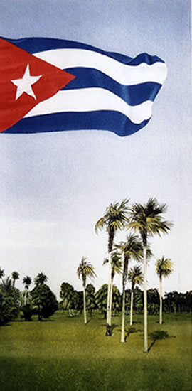 270x550 Viva Cuba - Cuban Flag Painting