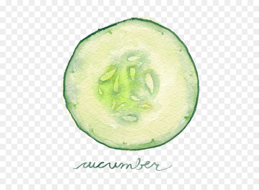 900x660 Watercolor Painting Vegetable Slicing Cucumber Illustration - Cucumber Painting