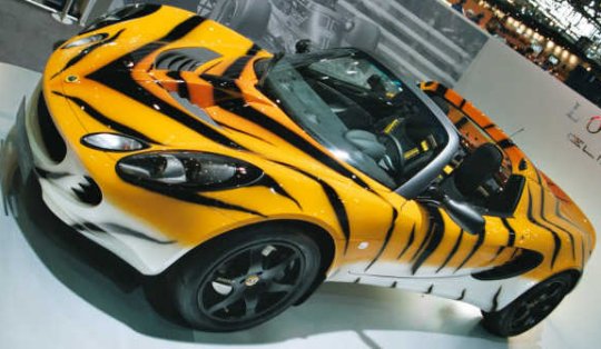 540x314 Custom Paint Job The Camo Side Of Dominic Hyde - Custom Car Painting