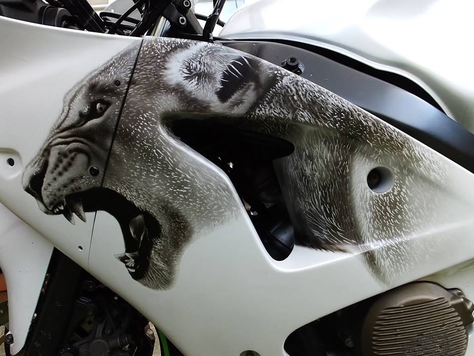 960x720 Custom Painting Airflow Painting - Custom Painting