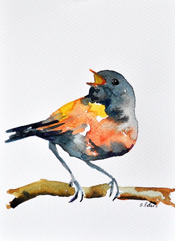 570x782 Original Watercolor Painting - Cute Bird Painting