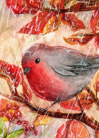 320x446 Painting Cute Fat Birds Is Always Fun Ampgt - Cute Bird Painting