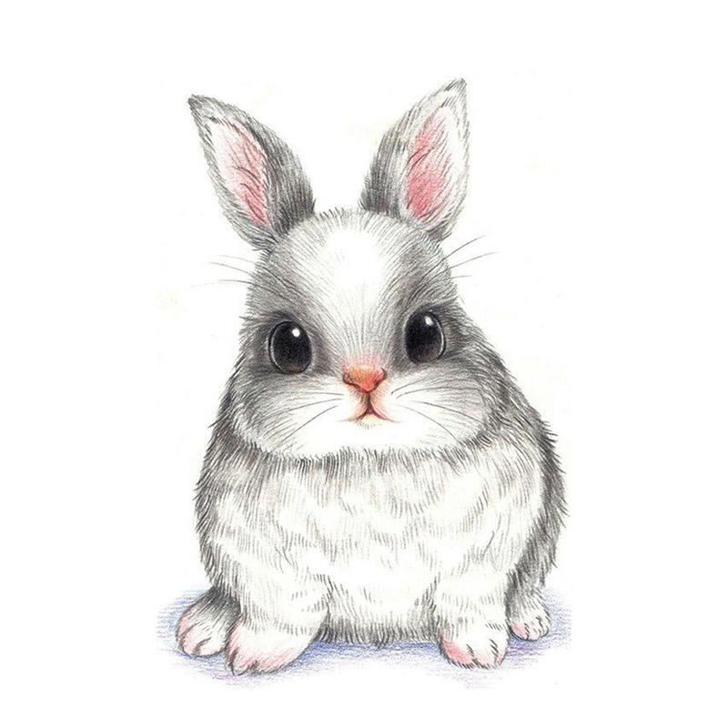 Cute Bunny Painting