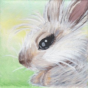 300x299 Cute Bunny Paintings - Cute Bunny Painting