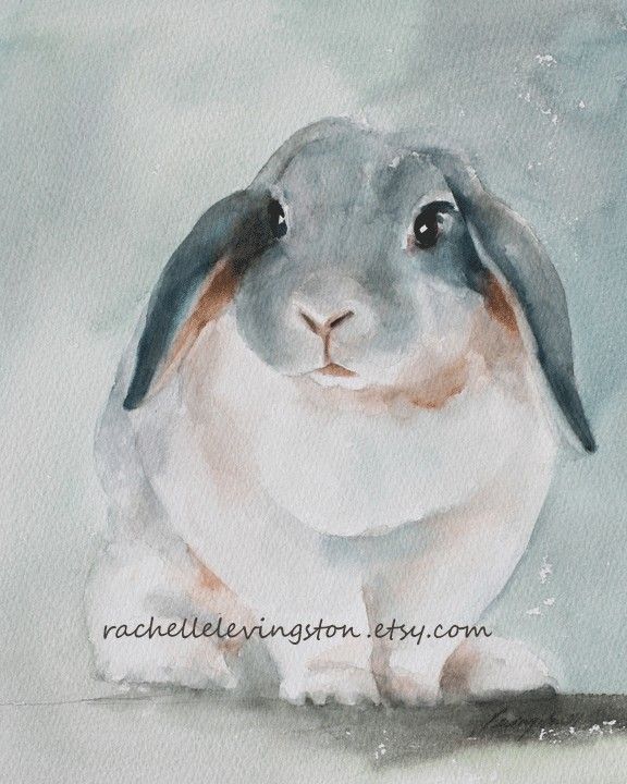 576x720 Cute Bunny Bunnies Bunny, Rabbit And Watercolor - Cute Bunny Painting