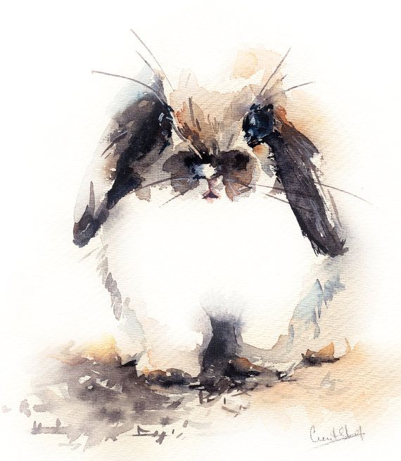 570x655 Original Watercolor Painting Of Cute Bunny, Rabbit Watercolour Art - Cute Bunny Painting