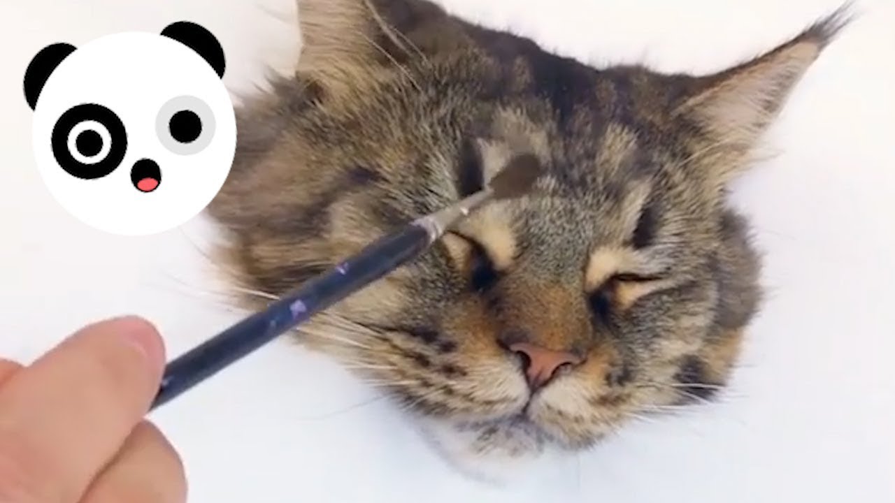 1280x720 Incredibly Realistic Cute Cat Painting Bored Panda Animals - Cute Cat Painting