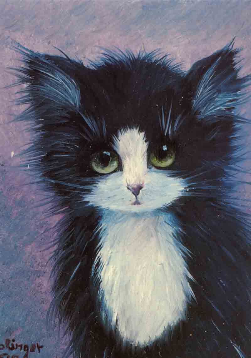 800x1141 Oreo Sylvester 17 Ave. Se. Calgary Lost Until I Am Found - Cute Cat Painting