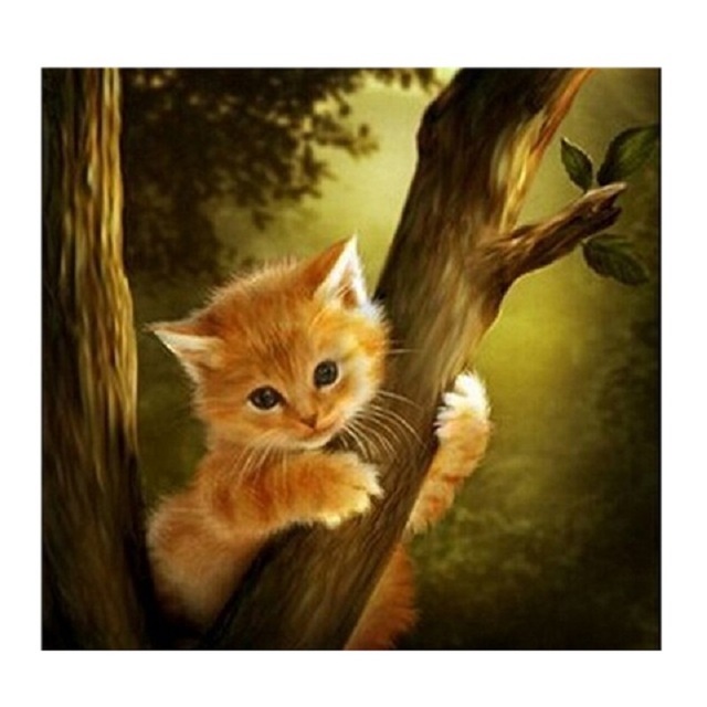 640x640 3d Diy Kitten Diamond Embroidery Cute Cat Diamond Painting Kits - Cute Cat Painting