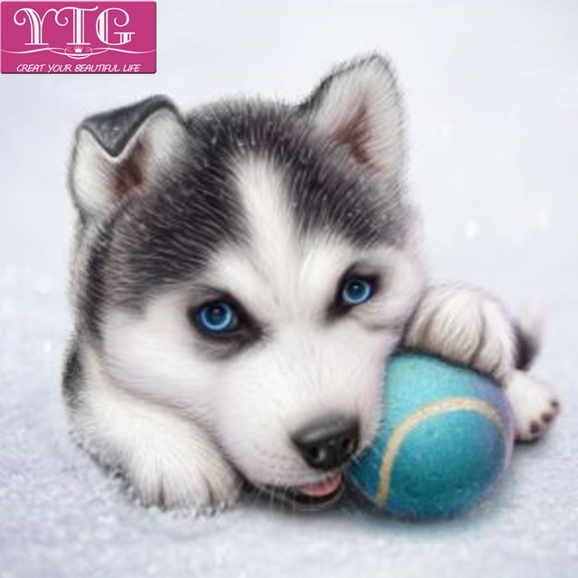640x640 Diamond Painting,cute Dog,full,diamond Embroidery,husky,animal,5d - Cute Dog Painting