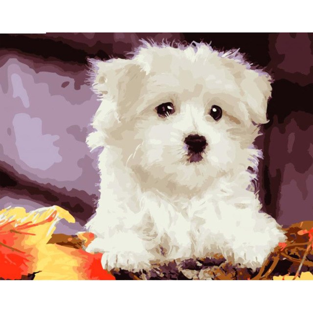 640x640 New Diy Painting By Numbers Hand Painted Canvas Oil Paintings Cute - Cute Dog Painting