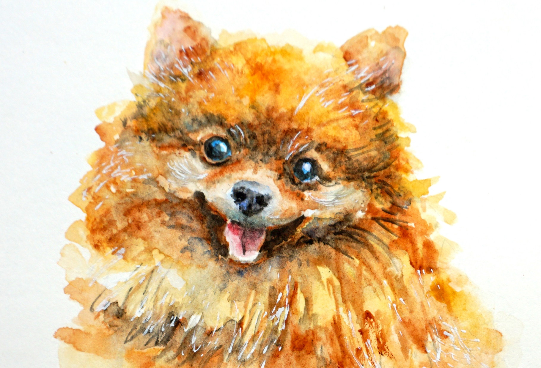 1820x1238 Pomeranian Dog - Cute Dog Painting