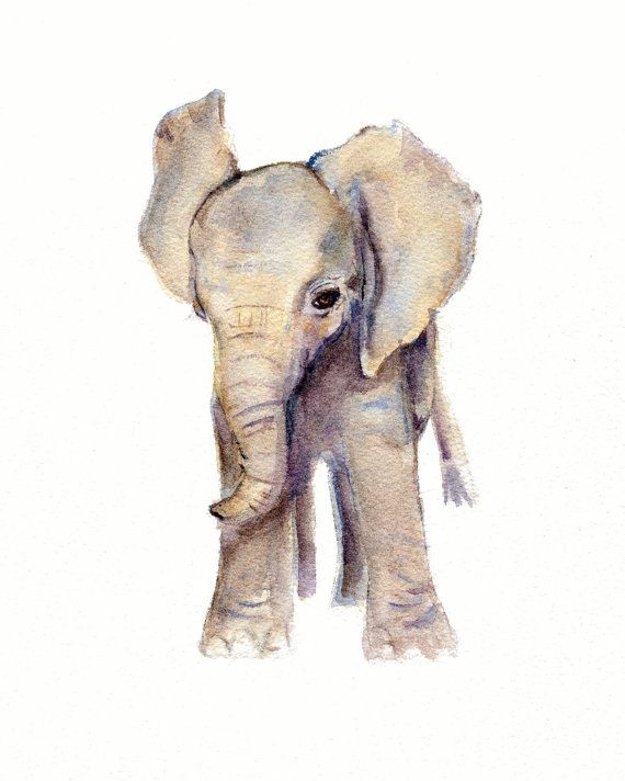 570x712 14 Best Elephants Images On Baby Elephant, Baby - Cute Elephant Painting
