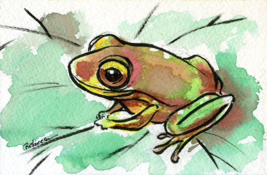 Cute Frog Painting at Explore collection of Cute