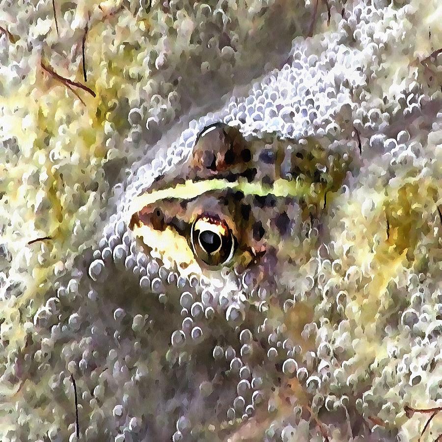 900x900 I'M Forever Blowing Bubbles Cute Frog Painting By Tracey - Cute Frog Painting