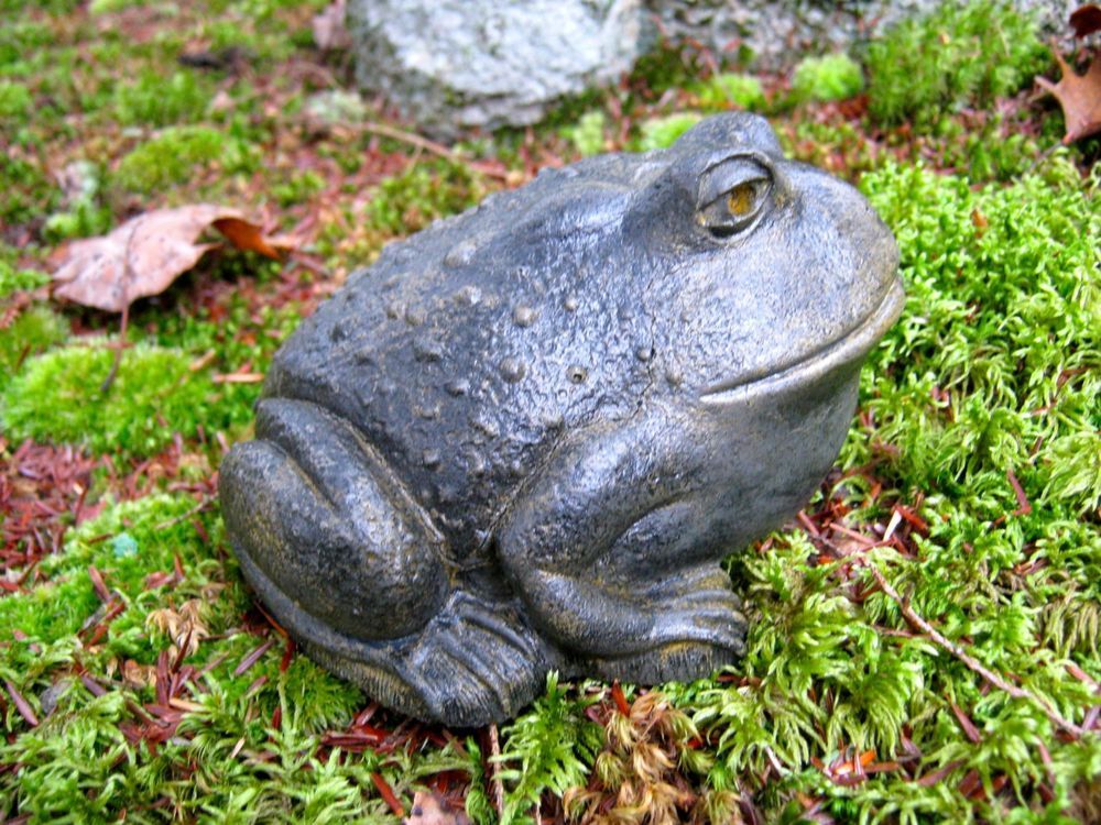 1000x750 Toad Garden Statue, Cute Frog Concrete Figure, Painted Cement - Cute Frog Painting