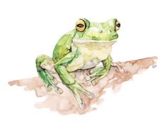 236x187 Cute Frog Illustrations - Cute Frog Painting