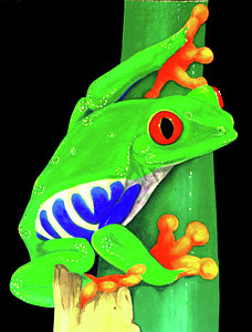 228x300 Cute Frog Paintings - Cute Frog Painting