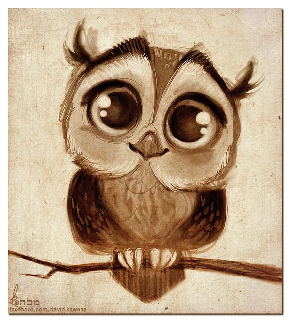 600x665 Doodles Cute Owl Drawned Iphone Wallpaper Httphtctokok Infinity - Cute Owl Painting