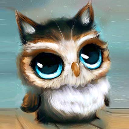 425x425 Diamond Cross Stitch Painting Kits Embroidery Kits - Cute Owl Painting