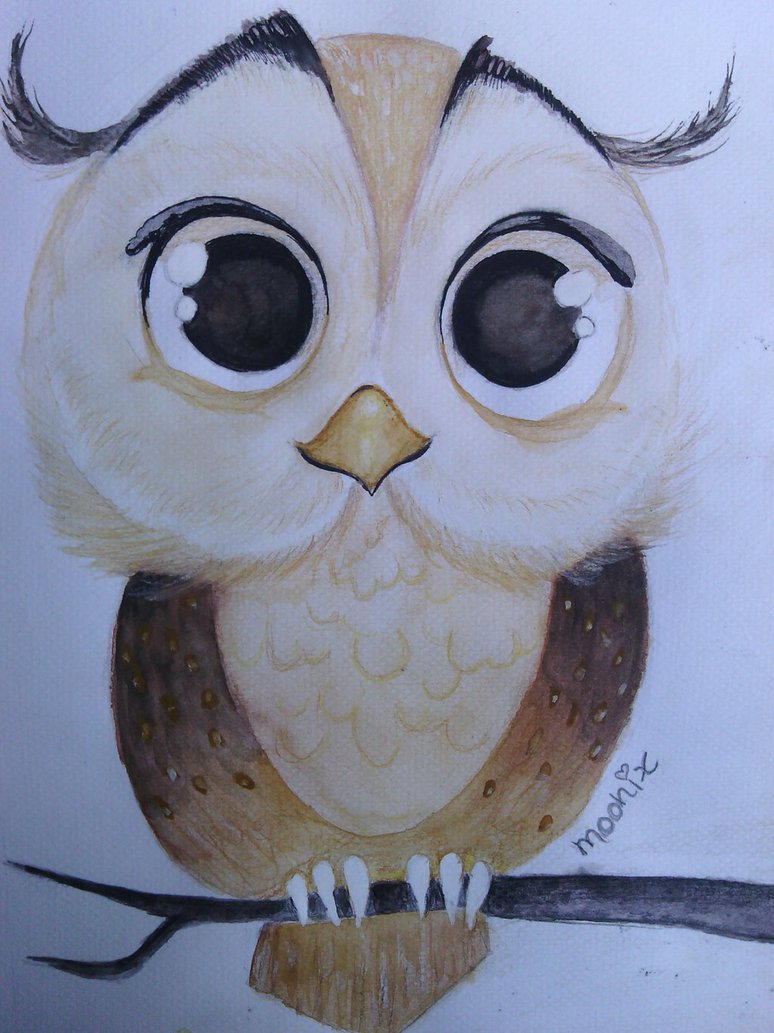 774x1033 Owl Cute - Cute Painting