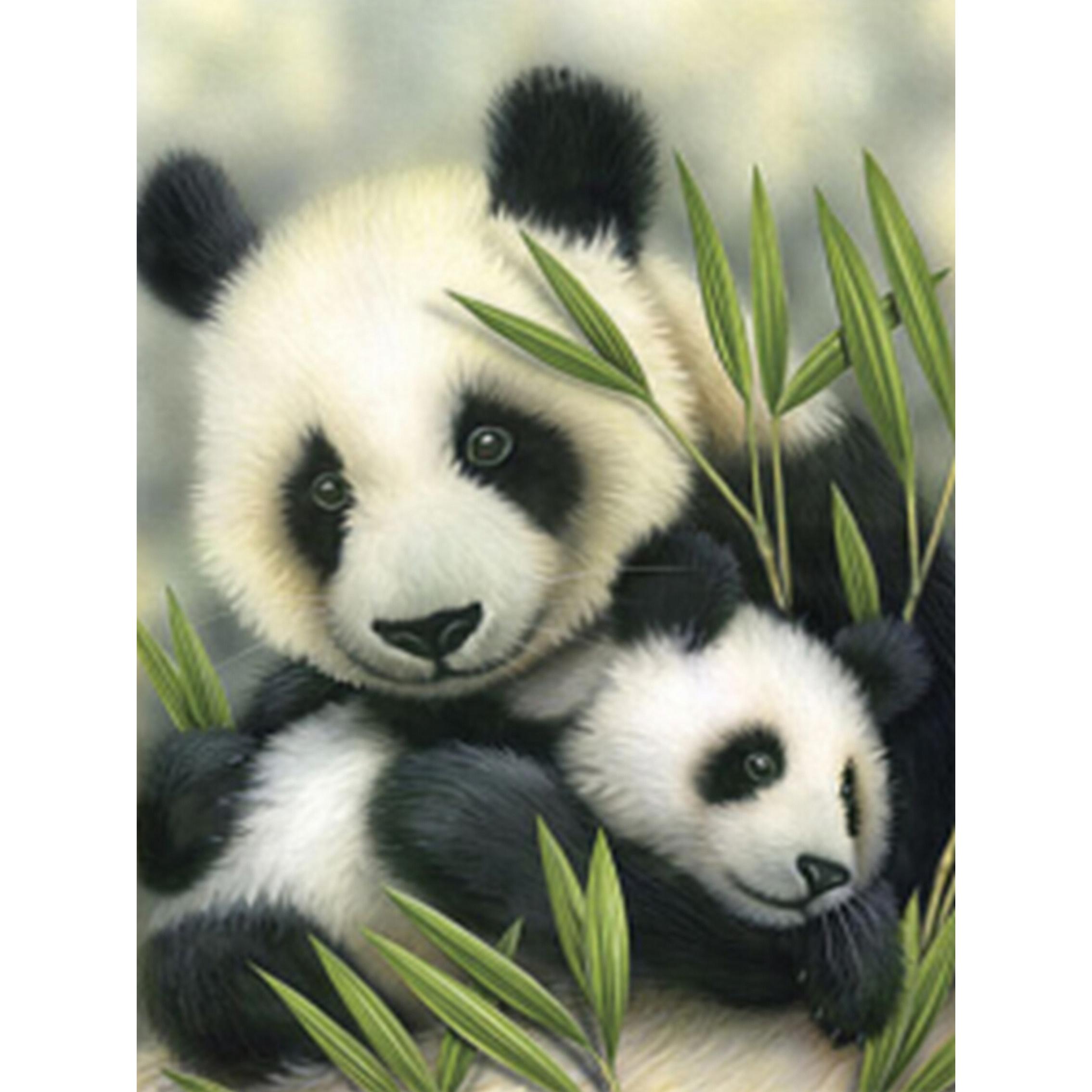 Cute Panda Painting