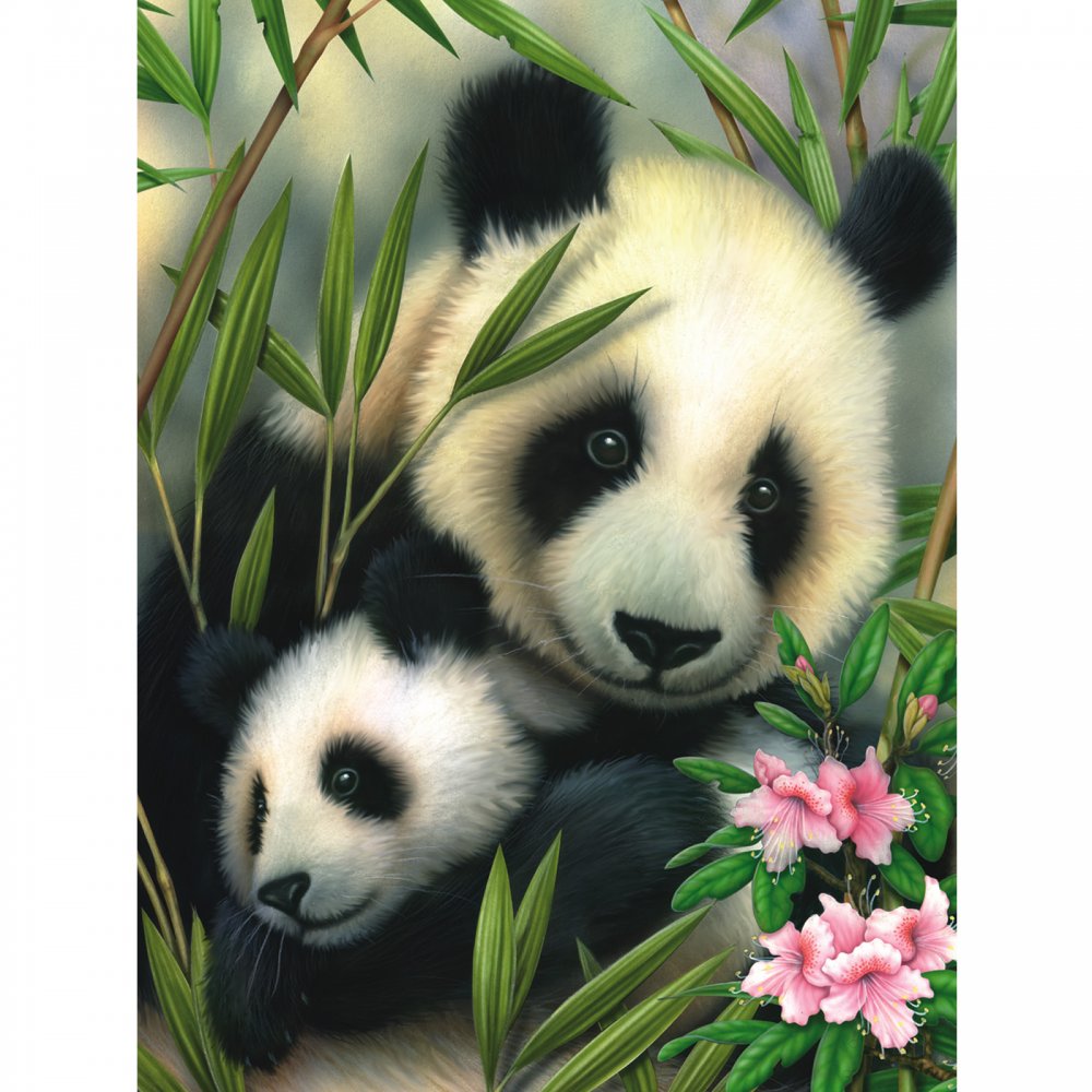 1000x1000 Panda Amp Baby Junior Paint By Numbers - Cute Panda Painting