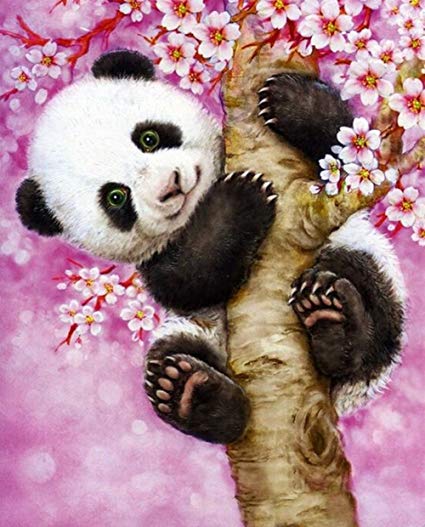 425x527 Diy 5d Diamond Painting Kit, Cute Panda Embroidery - Cute Panda Painting