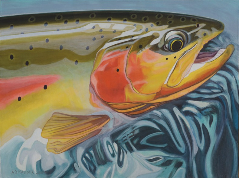 790x590 Cutthroat Trout Art - Cutthroat Trout Painting