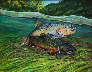 300x233 Cutthroat Trout Paintings Fine Art America - Cutthroat Trout Painting