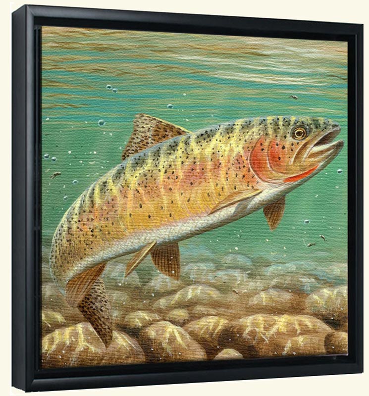 Cutthroat Trout Painting at Explore collection of