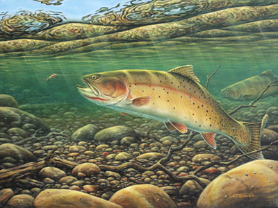 400x300 Limelight - Cutthroat Trout Painting