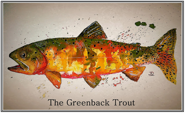 640x390 A Year On The Fly The Greenback Trout (Painting Under The Influence) - Cutthroat Trout Painting