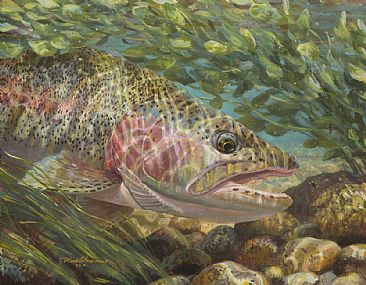 366x285 Rainbow Trout - Cutthroat Trout Painting