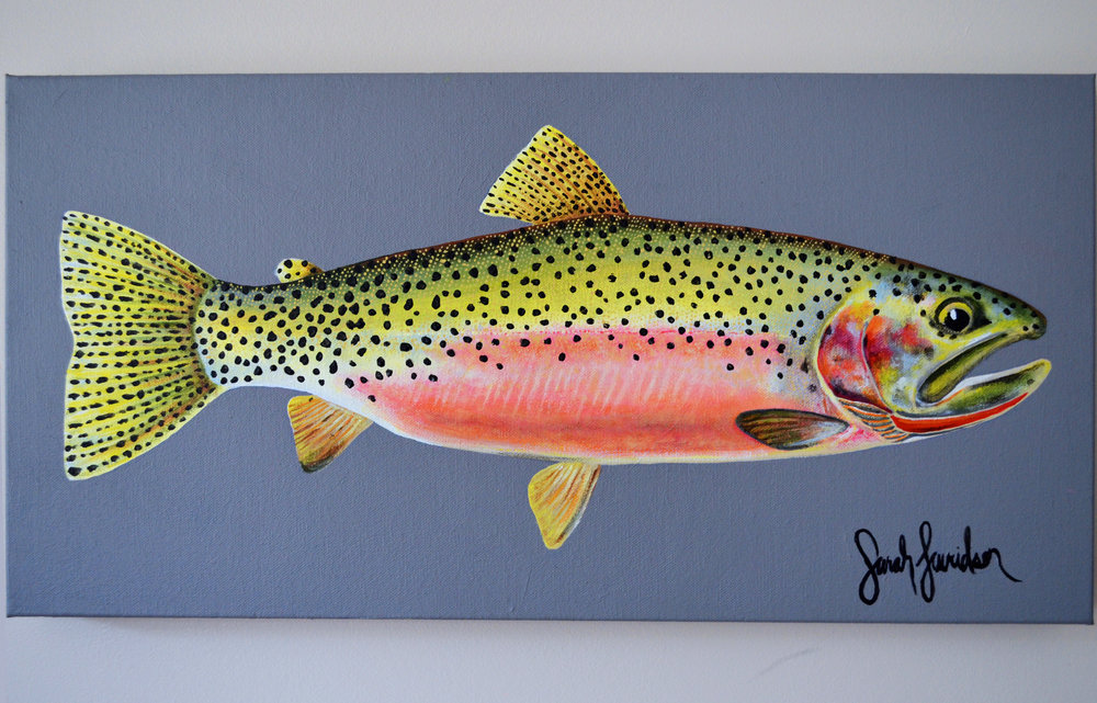 1000x641 Shl Art - Cutthroat Trout Painting