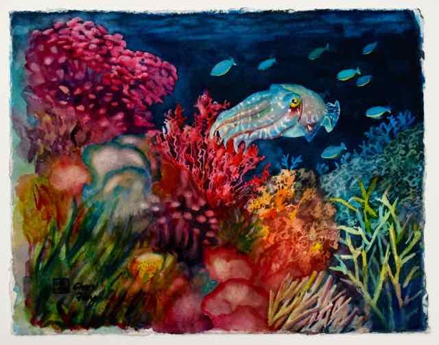 640x504 Cuttlefish And Coral Watercolor By Cheryl Feng Www - Cuttlefish Painting
