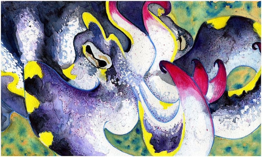 900x540 Flamboyant Cuttlefish By Amandamyers - Cuttlefish Painting